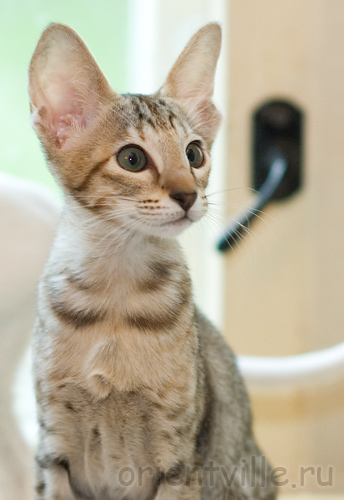 Габи. 2 месяца