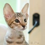 Габи. 2 месяца