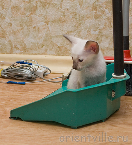 Рикс. Вот такое место ему нравится