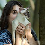 Orientville's Asterix. 2 года