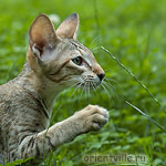 Габи. 4 месяца