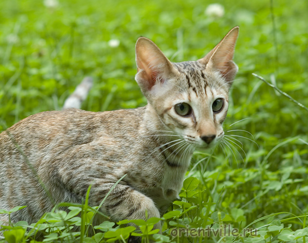 Габи. 4 месяца