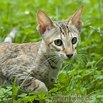 Габи. 4 месяца