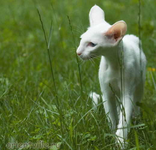 Герда. 4 месяца