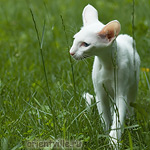 Герда. 4 месяца