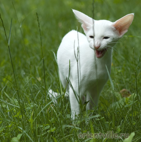 Герда. 4 месяца