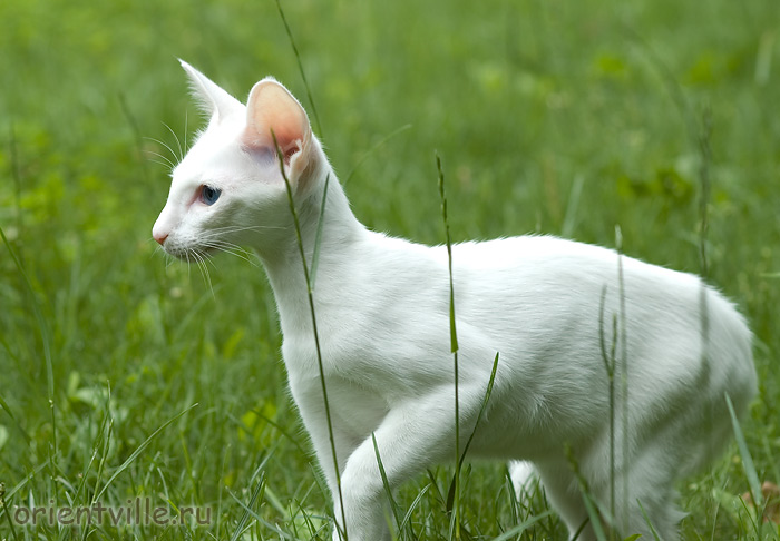 Герда. 4 месяца