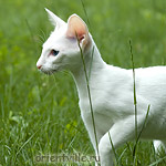 Герда. 4 месяца