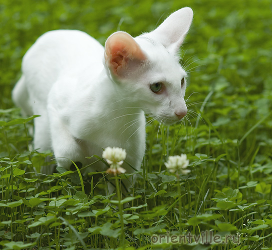 Галя. 4 месяца