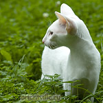 Галя. 4 месяца