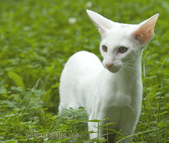 Галя. 4 месяца