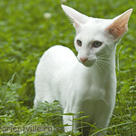 Галя. 4 месяца