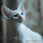 Герда. 4 месяца