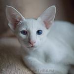 Герда. 4 месяца