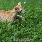 Гунька. 4 месяца