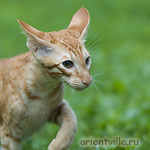 Гунька. 4 месяца