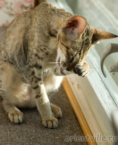 Габи. 4 месяца