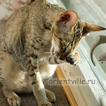 Габи. 4 месяца