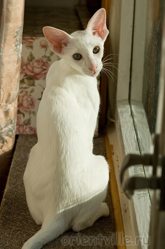 Галя. 4 месяца