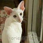 Галя. 4 месяца