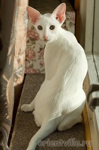 Галя. 4 месяца