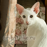 Галя. 4 месяца