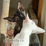 Галя. 4 месяца