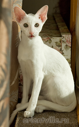 Галя. 4 месяца