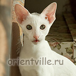 Галя. 4 месяца