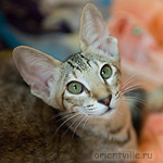 Габи. 4 месяца