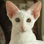 Галя. 4 месяца