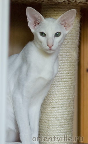 Галя. 5 месяцев