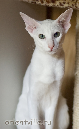 Галя. 5 месяцев