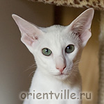 Галя. 5 месяцев