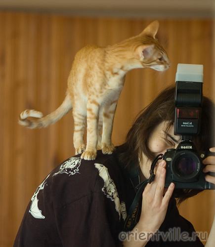 Гай. Проверяет настройки вспышки