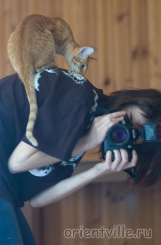 Гай. Любимое занятие - сидеть на человеке