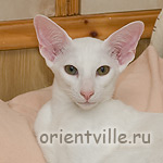 Гусь и Фиона