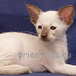 Orientville's Asterix