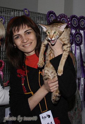 Зима. Показ на Бесте