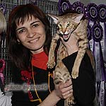 Зима. Показ на Бесте