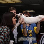 Эмоциональный допинг от новой мамы