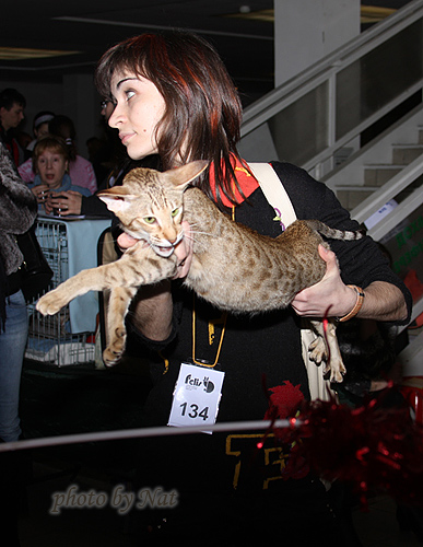 Зима на судействе у Ольги Абрамовой