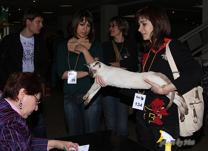 Рикс на судействе у Ольги Абрамовой