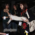 Рикс на судействе у Ольги Абрамовой