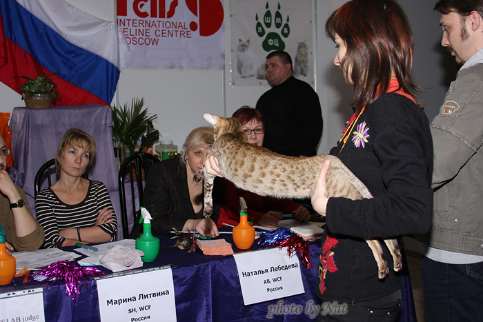 Сравнение номинантов SOSH на Бесте