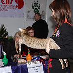 Сравнение номинантов SOSH на Бесте