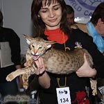 Показ на Бесте