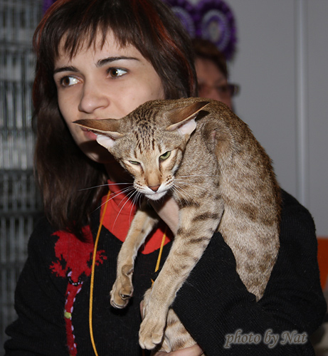 Зима на Бесте