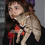 Зима на Бесте