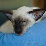 RU*Imperio Alf Justin Timberlake